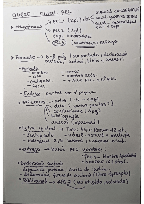 Miniatura del documento ANEXO-I-Orientaciones-pecs-esquema-rapido.pdf