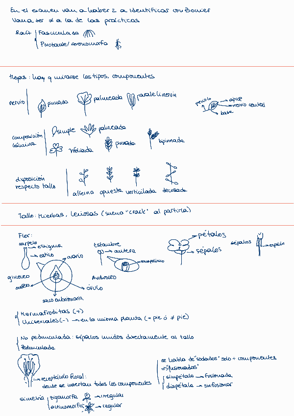 Miniatura del documento PRACTICA-3-BONNIER.pdf