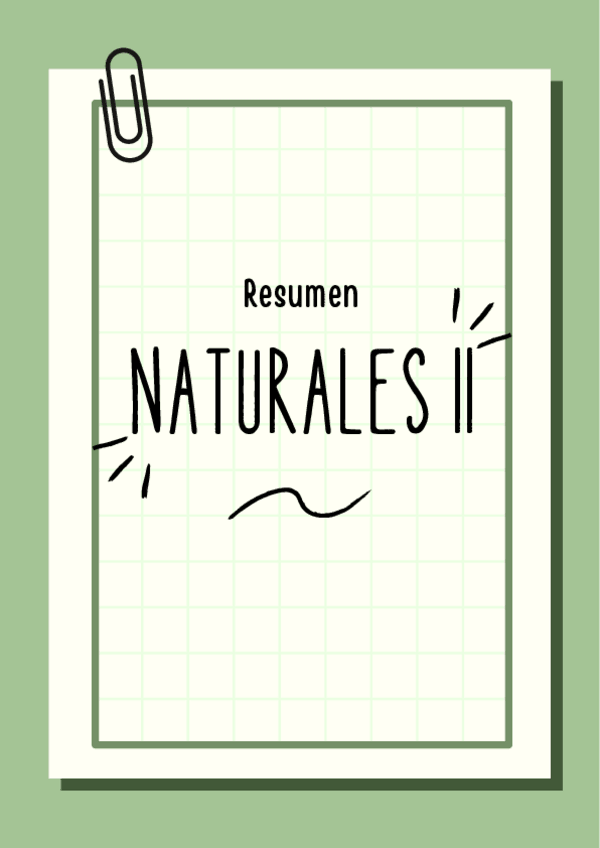 Miniatura del documento Resumen-esquematico-Naturales-II.pdf