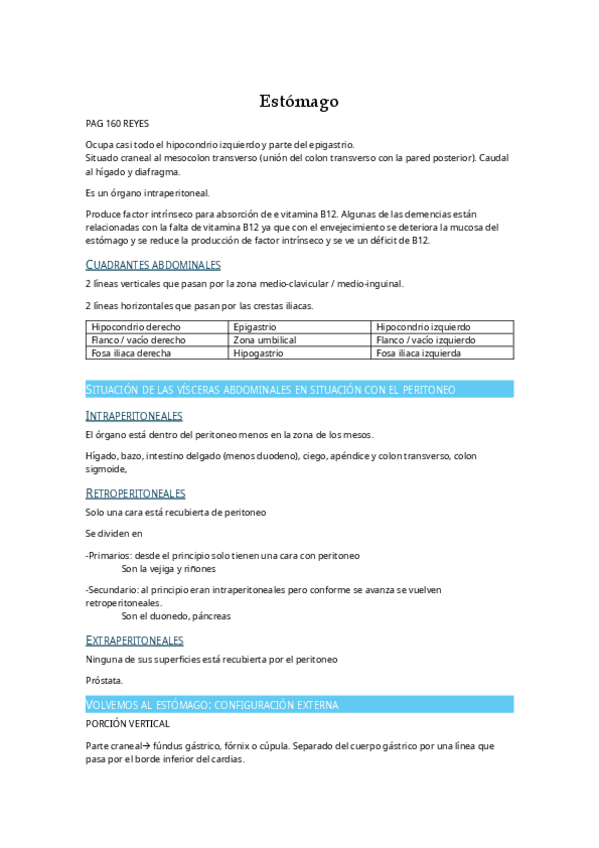 Miniatura del documento Estomago.pdf