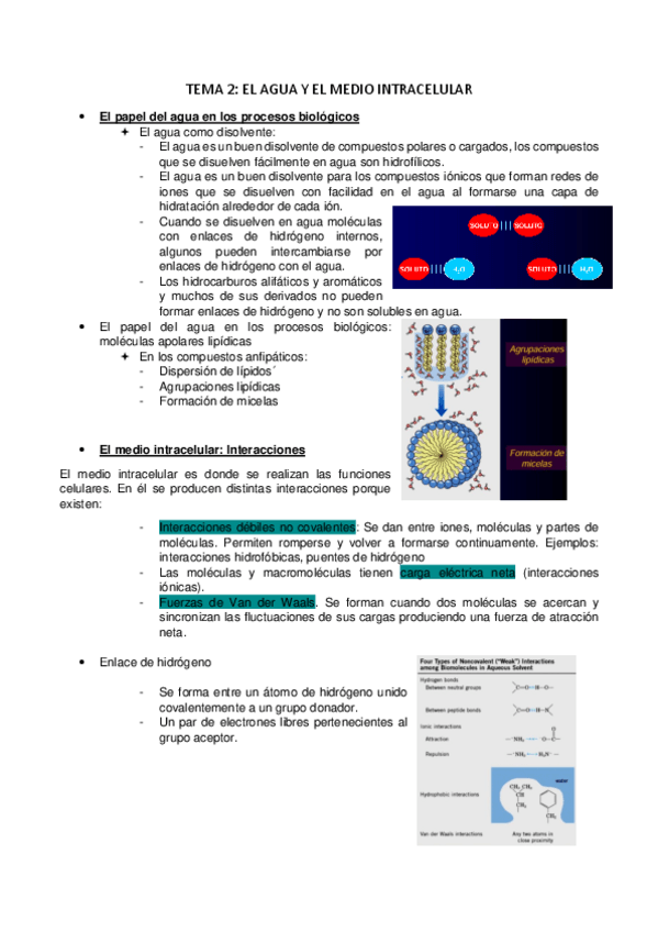 Miniatura del documento TEMA-2.pdf