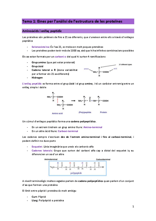 Miniatura del documento T1-PRO.pdf