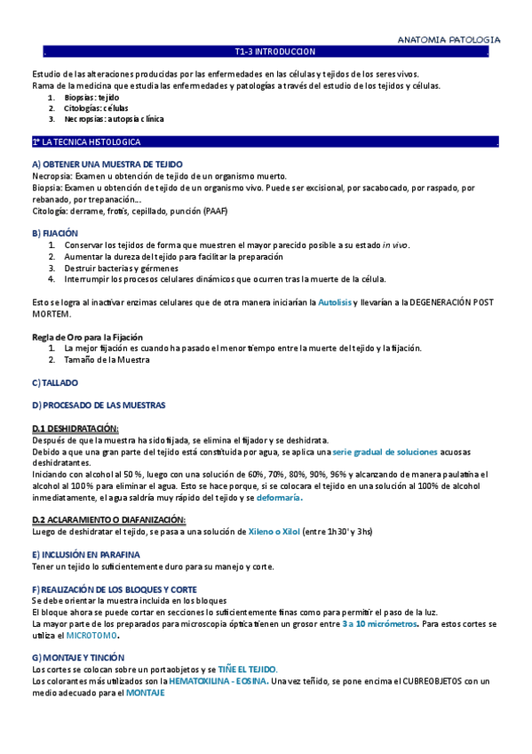 Miniatura del documento Tema-1,2,3.pdf