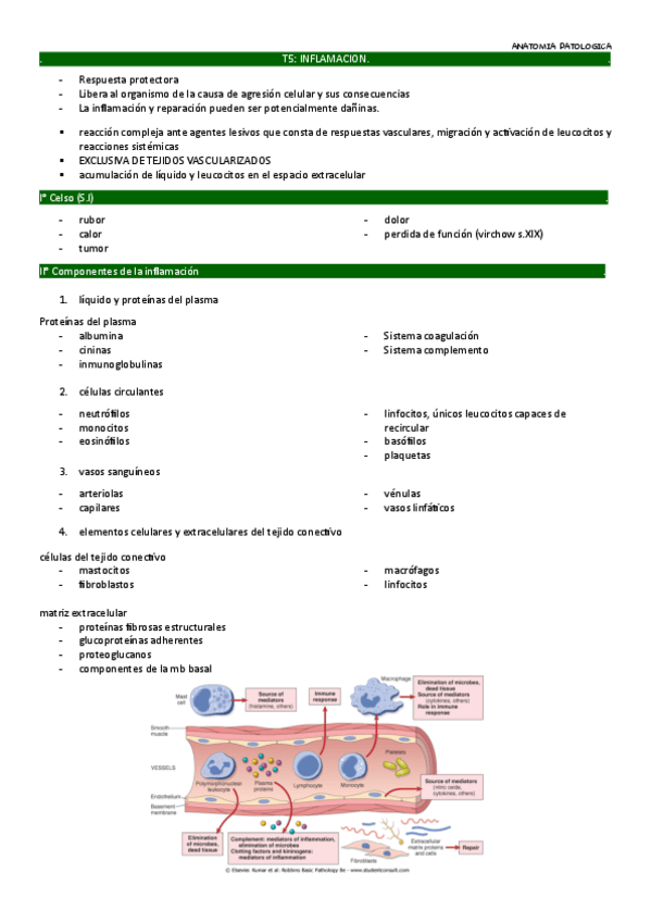 Miniatura del documento tema-6.pdf
