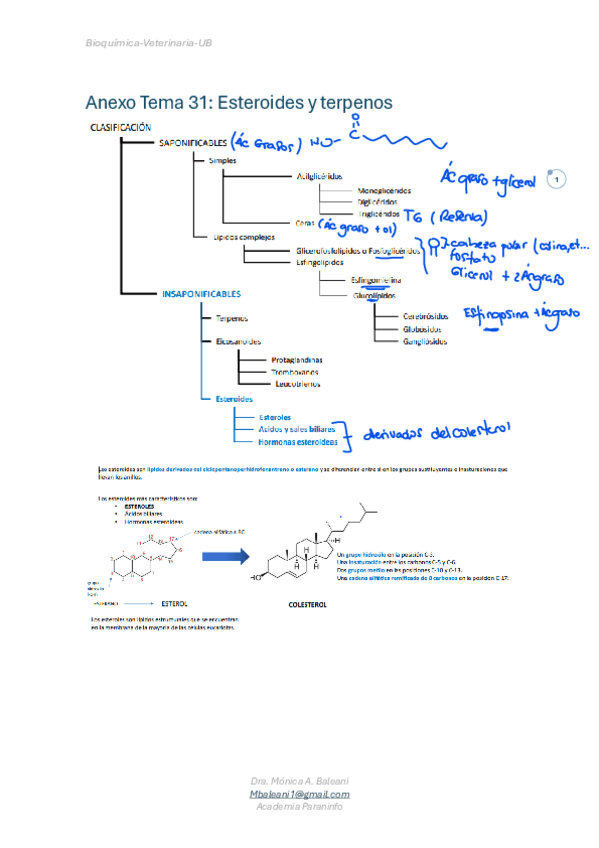Miniatura del documento tema-31-esteroides.pdf
