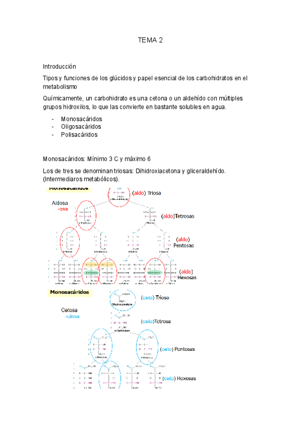 Miniatura del documento TEMA-2-BIOQUIMICA-II.pdf