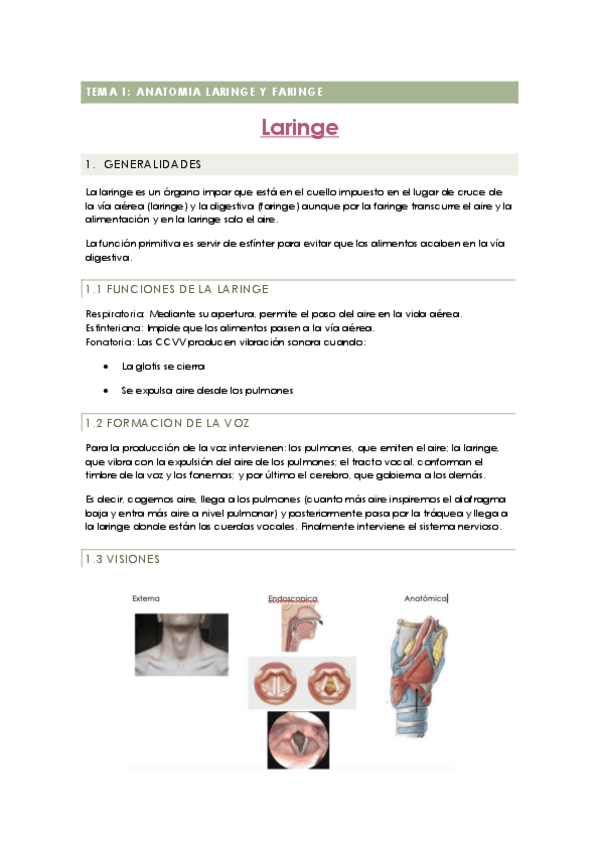 Miniatura del documento Patologia-de-la-voz-hasta-tema-10.pdf
