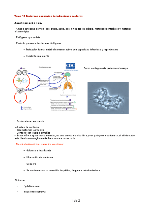 Miniatura del documento tema-13.pdf