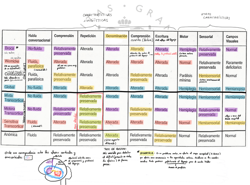 Miniatura del documento Esquema-Neuro-afasias.pdf