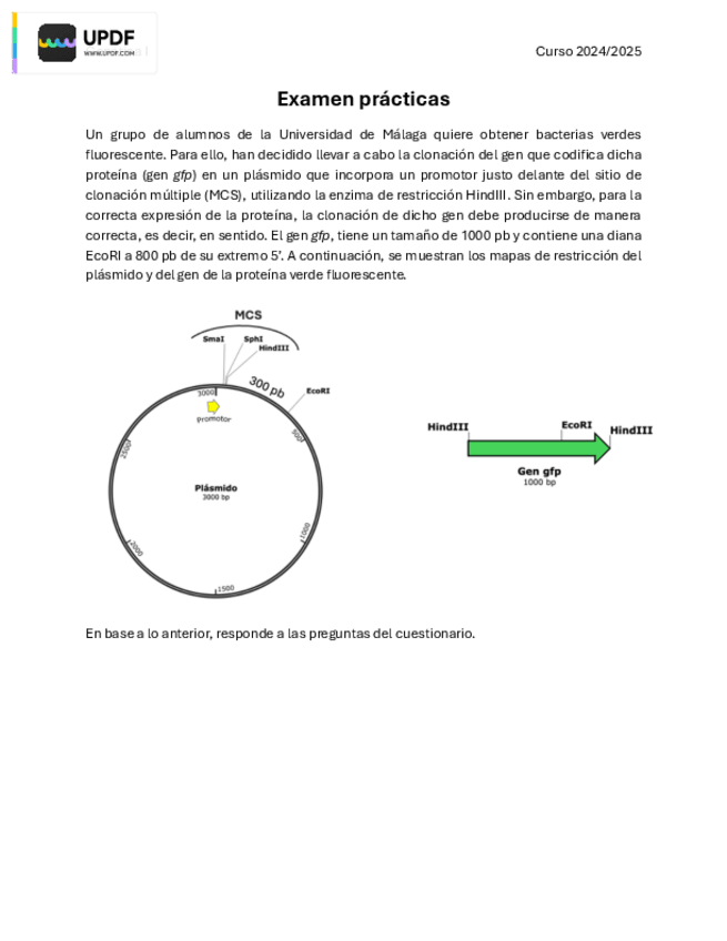 Miniatura del documento Cuestionario-practica-2-Genetica-I.pdf