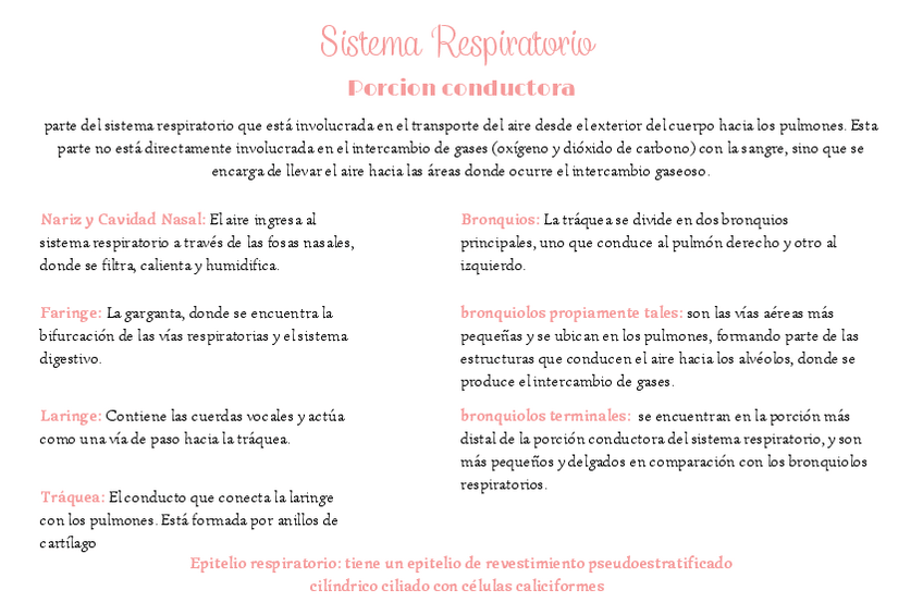 Miniatura del documento Sistema-Respiratorio.pdf