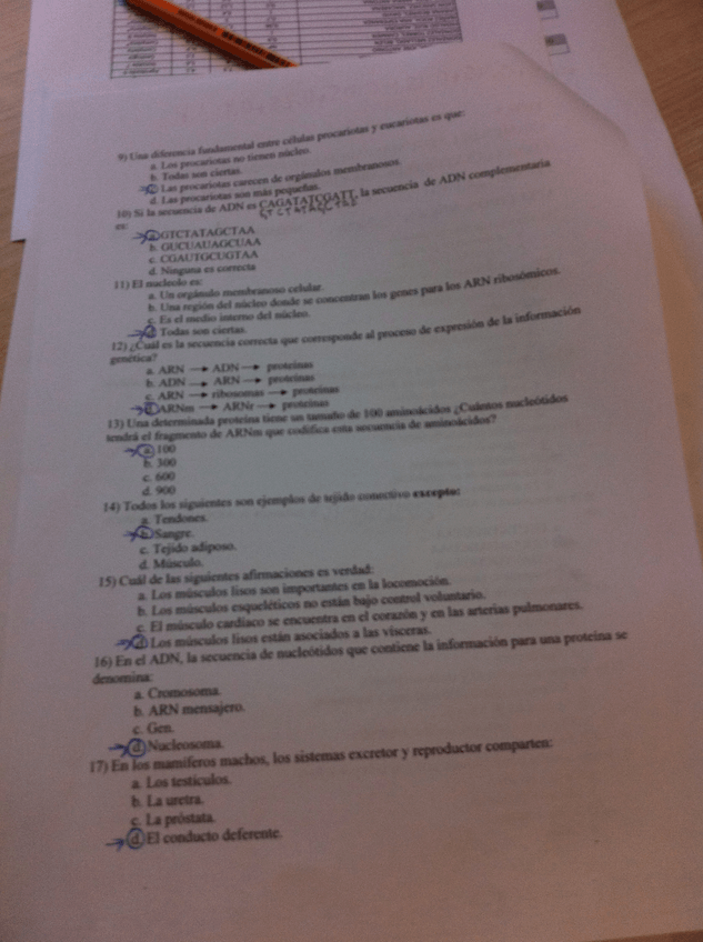 Miniatura del documento 2.JPG