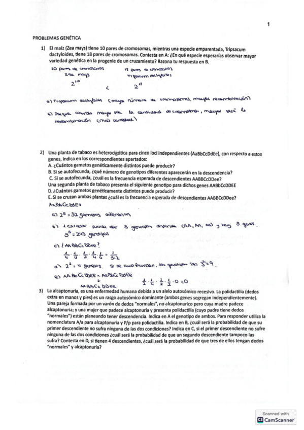 Miniatura del documento Series.pdf