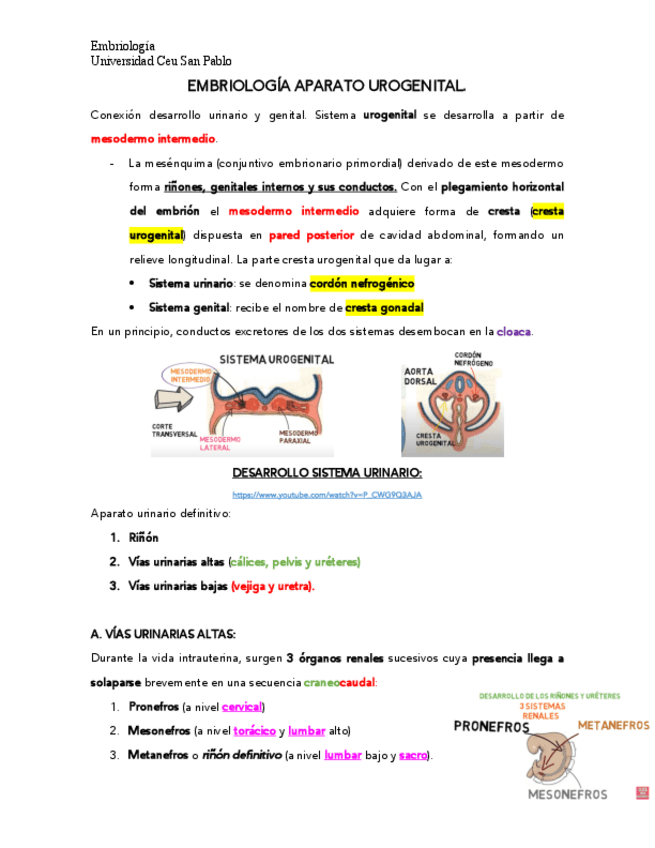 Miniatura del documento EMBRIO-GENITAL-Y-URNIARIO.pdf