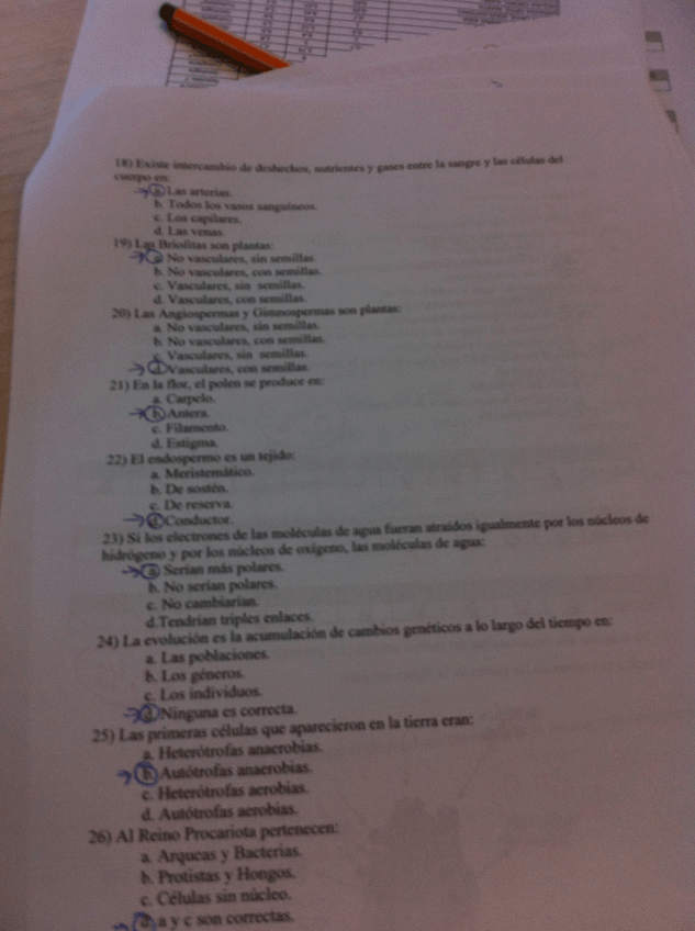 Miniatura del documento 3.JPG