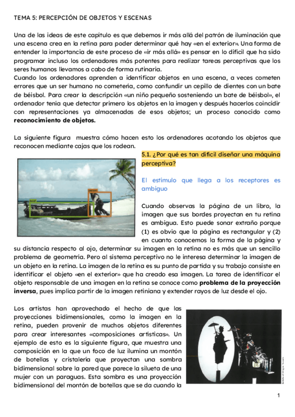 Miniatura del documento Percepcion-tema-5-2024-2025.pdf