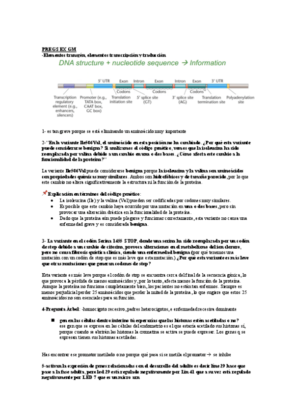 Miniatura del documento PREGUNTAS-EXAMEN-GM-2025.pdf