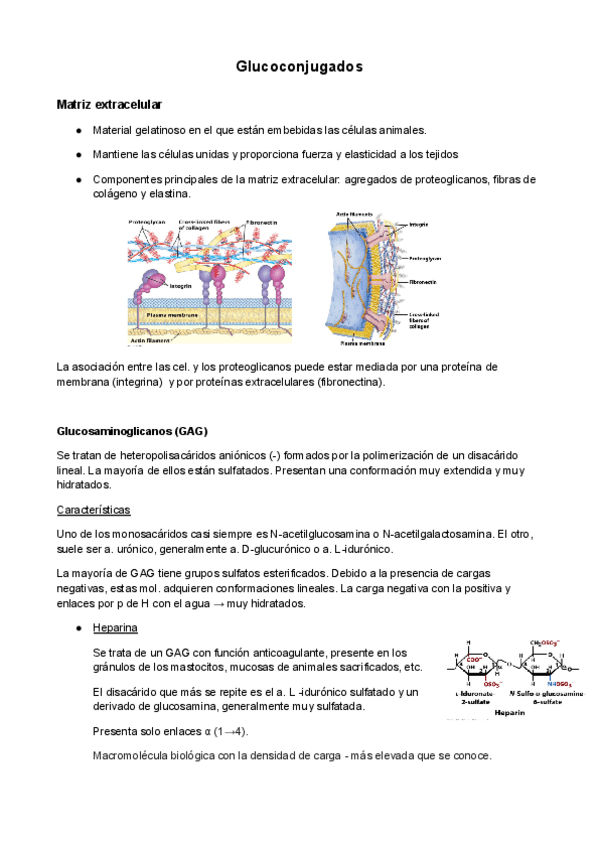 Miniatura del documento B.Q.E-3.pdf