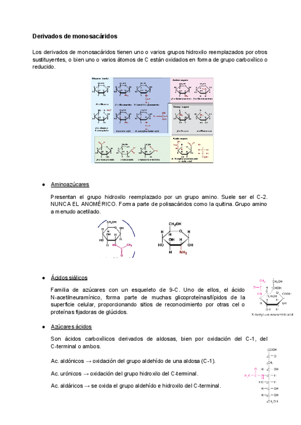 Miniatura del documento B.Q.E-1.pdf