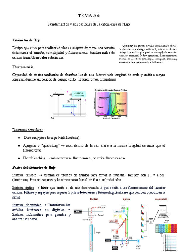 Miniatura del documento TEMA-5.pdf