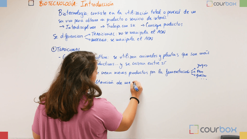 Miniatura del documento Leccion-1-Introduccion.mp4