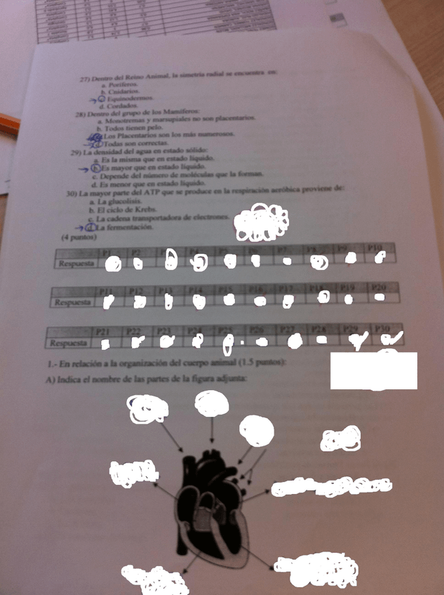 Miniatura del documento 4.JPG