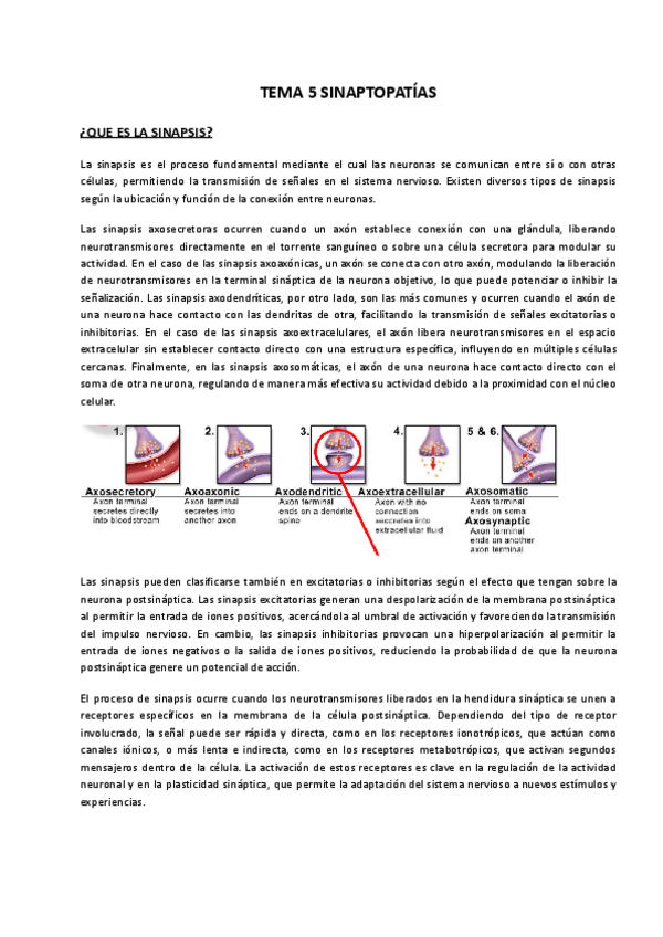 Miniatura del documento TEMA-5-SINAPTOPATIAS.pdf