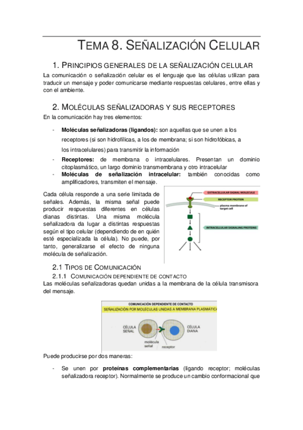 Miniatura del documento 8.-Senalizacion-Celular.pdf