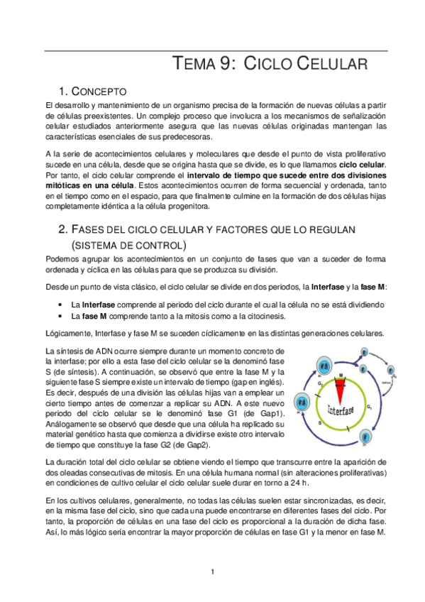 Miniatura del documento 9-Y-10.-Ciclo-y-Division-Celular.pdf