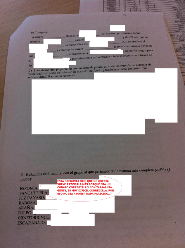 Miniatura del documento 5.JPG