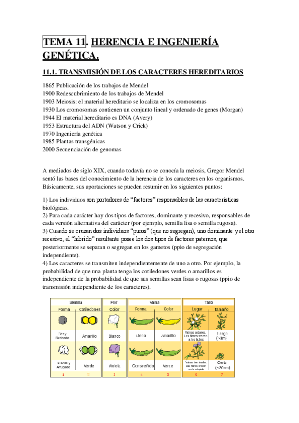 Miniatura del documento TEMA 11.pdf