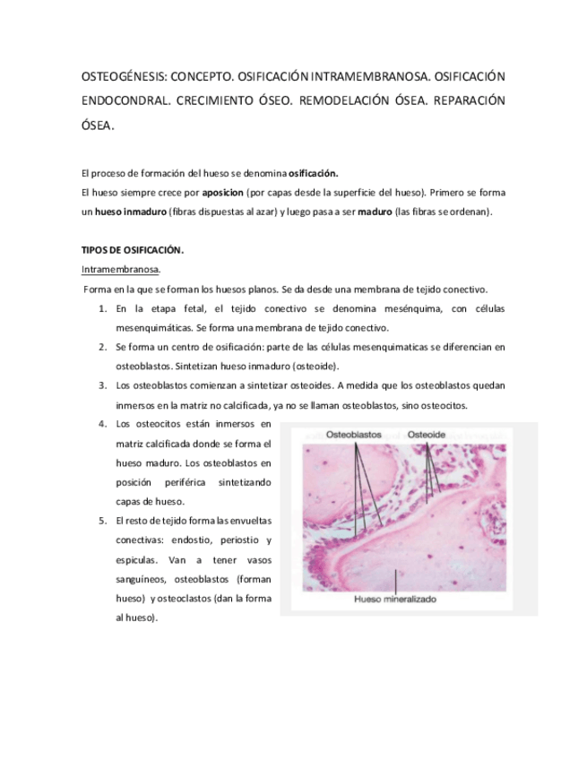 Miniatura del documento OSTEOGÉNESIS.pdf