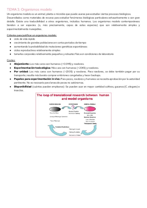 Miniatura del documento TEMA-3.-Organismos-modelo.pdf