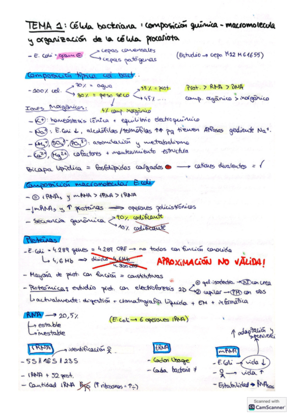 Miniatura del documento Resum-BCMM.pdf