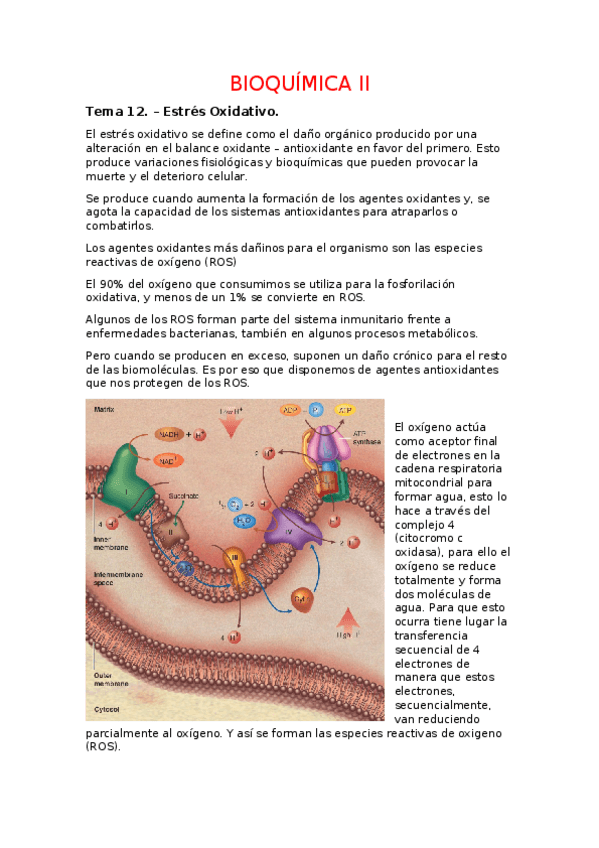 Miniatura del documento Temario - BQ2.docx