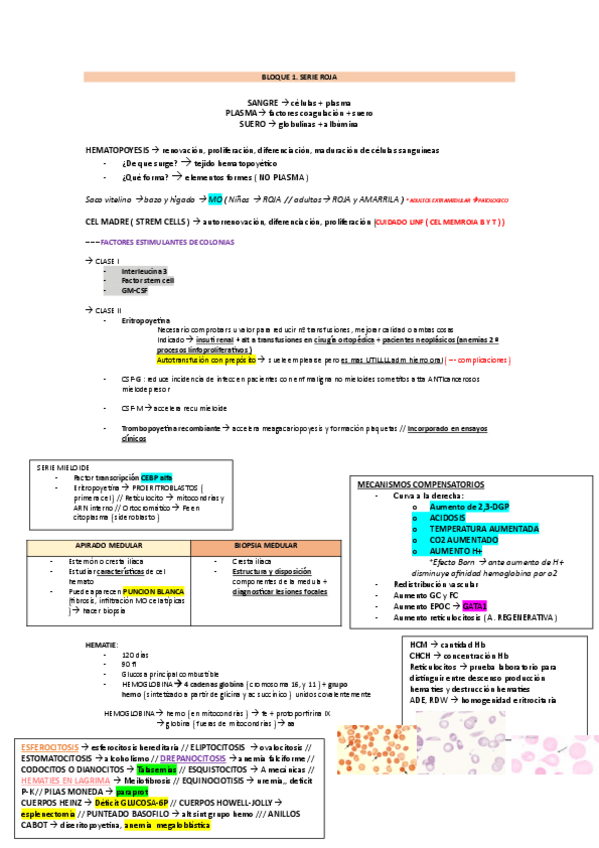 Miniatura del documento RESUMEN-HEMATOLOGIA.pdf
