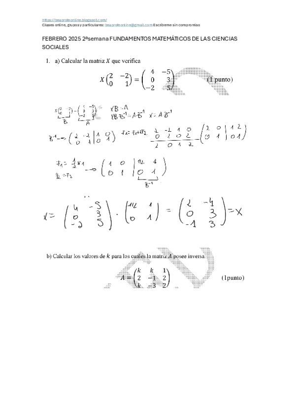 Miniatura del documento FEB2025RESUELTO2a.pdf