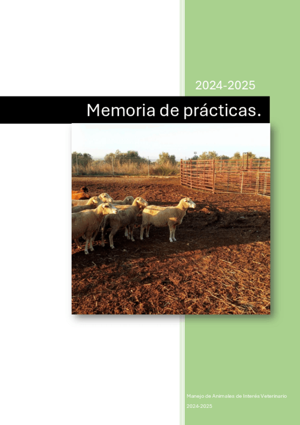 Miniatura del documento Memoria-practicas-24-25-NOTA-10.pdf