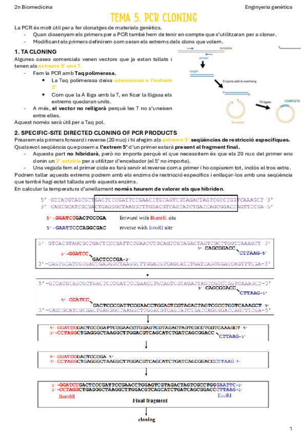 Miniatura del documento T5-PCR-cloning.pdf
