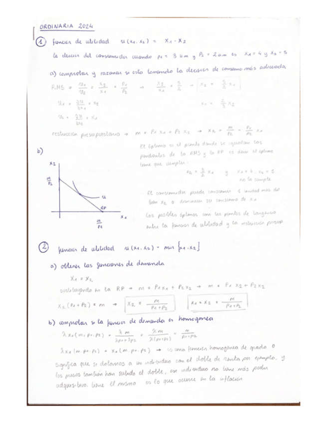 Miniatura del documento ORDINARIA-2024.pdf