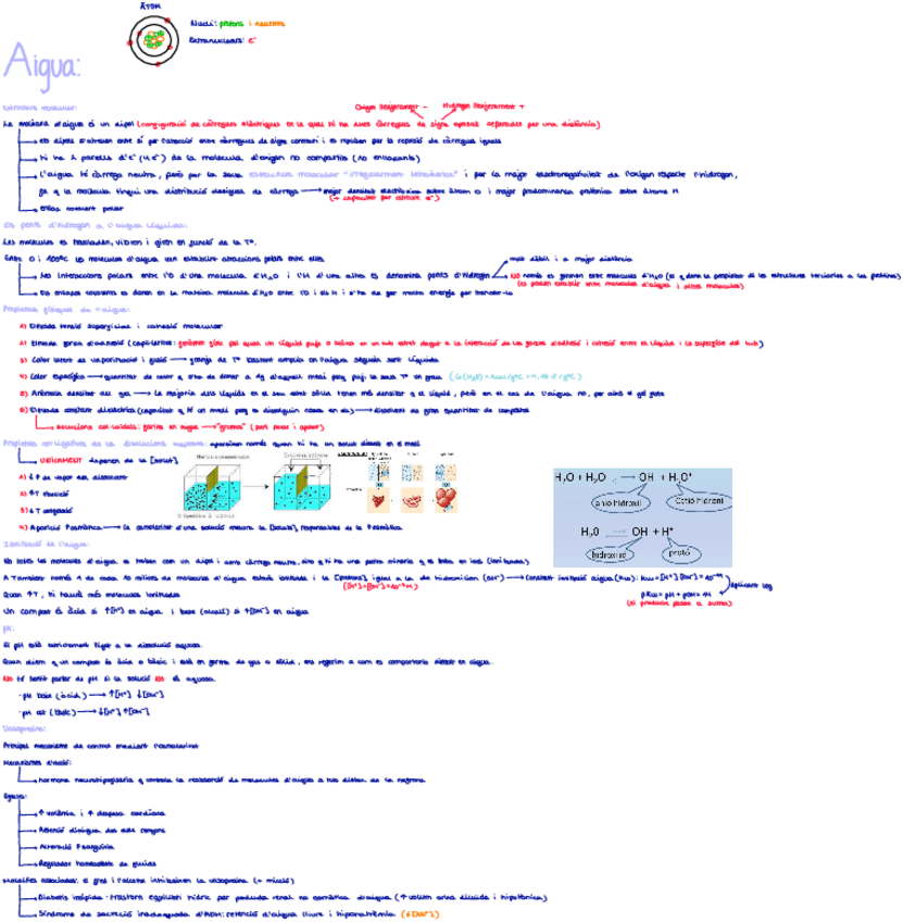 Miniatura del documento Aigua.pdf