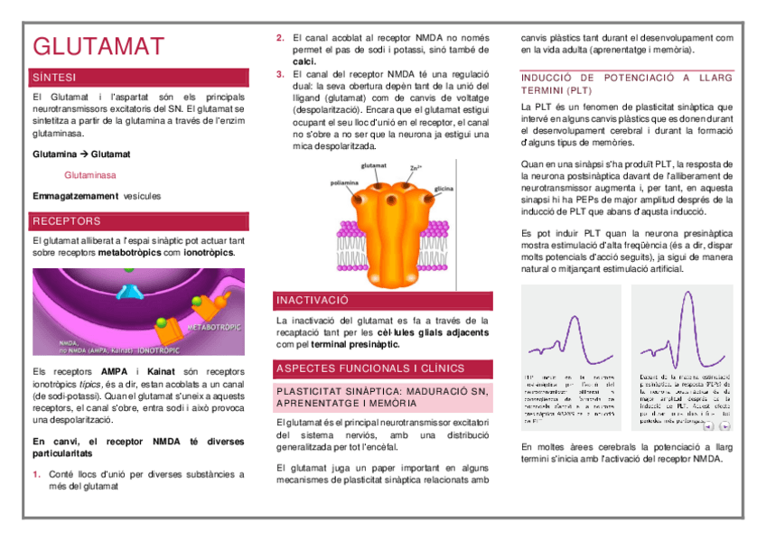 Miniatura del documento NEUROTRANSMISSORS.pdf