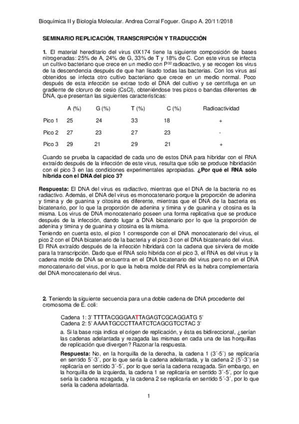 Miniatura del documento SEMINARIO REPLICACIÓN- TRANSCRIPCIÓN Y TRADUCCIÓN.docx