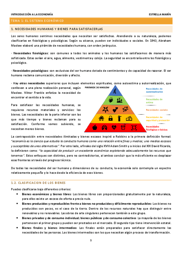 Miniatura del documento resumen-intro-temas-123.pdf