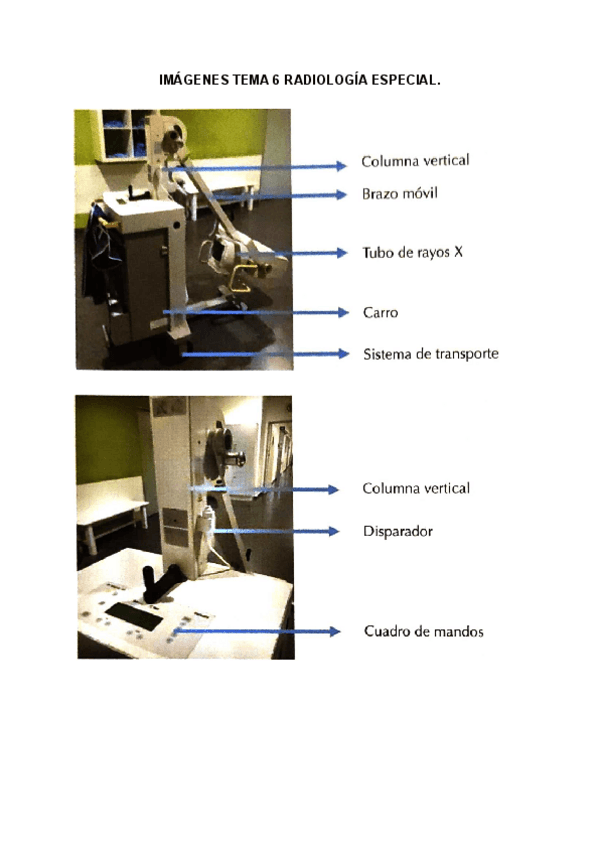 Miniatura del documento IMAGENES-TEMA-6-RADIOLOGIA-ESPECIAL.pdf