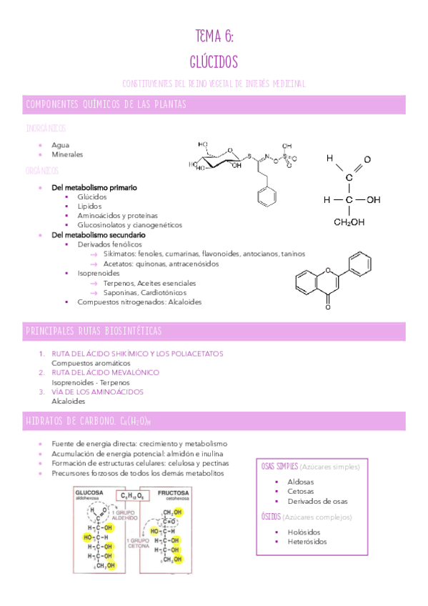Miniatura del documento TEMA-6.pdf