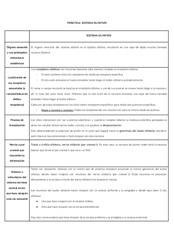Miniatura del documento PRACTICA-SISTEMA-OLFATIVO.pdf