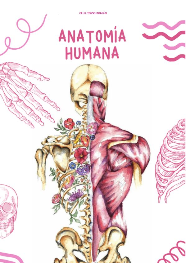 Miniatura del documento Apuntes-AH-COMPLETOS.pdf