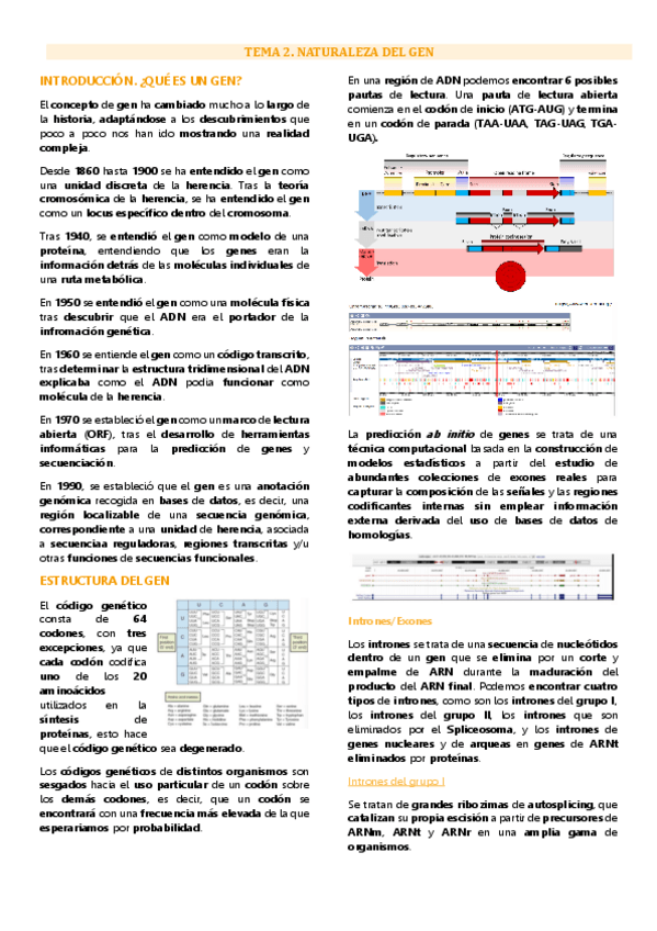 Miniatura del documento Tema 2 genética molecular, Naturaleza del gen.pdf