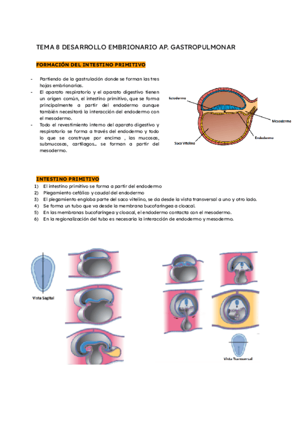 Miniatura del documento Ap.-digestivo-tema-8-desarrollo-embrionario.pdf